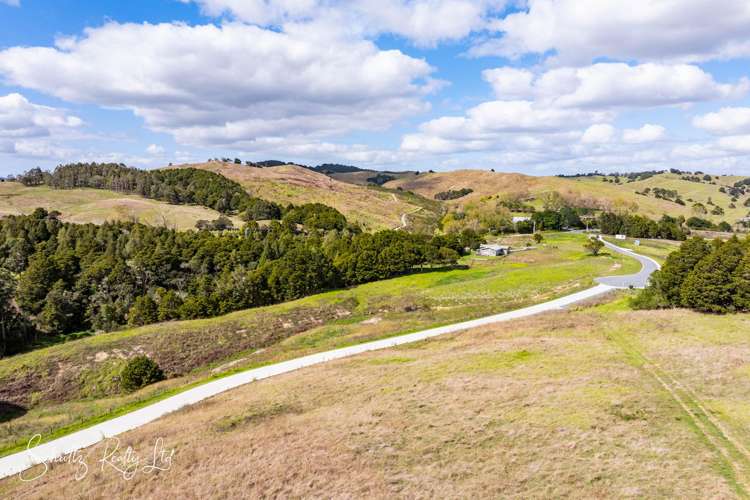 Whakapirau Road Maungaturoto_15