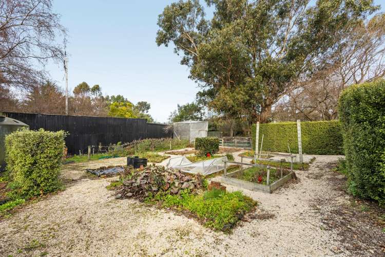 1310 Marshmans Road Balcairn_18