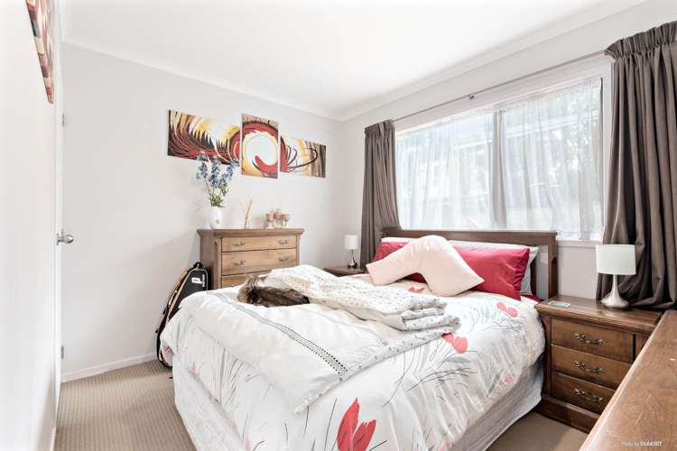 55 Withers Road Glen Eden_11