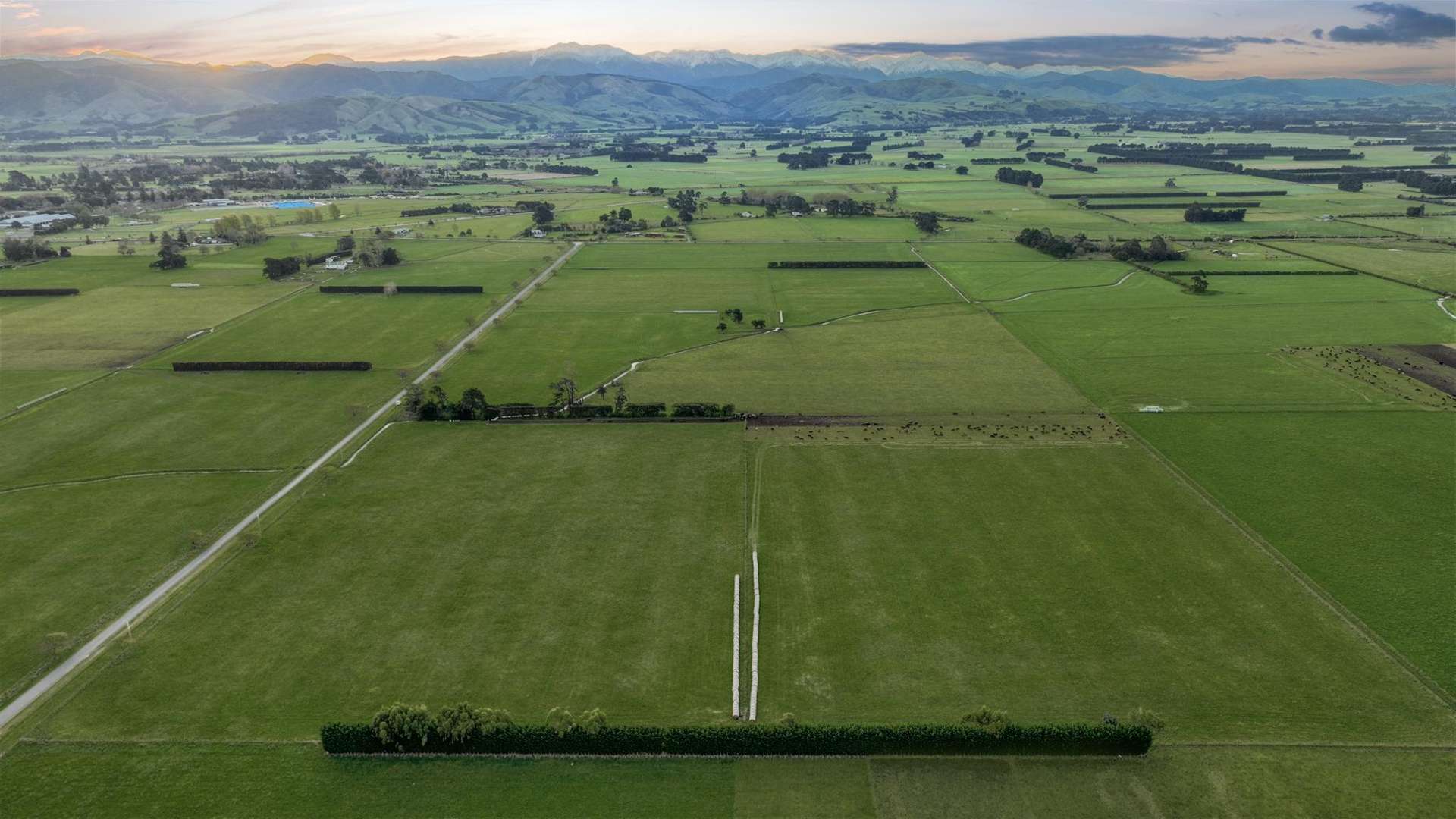 Francis Line Clareville_0