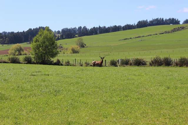 102 Talbot Road Te Anau_2