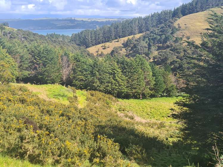 113b Taemaro Road Mangonui_17