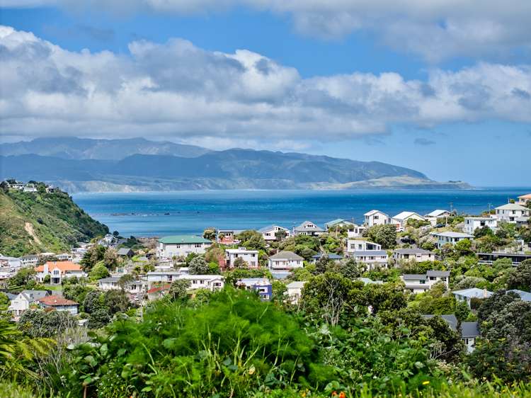 38a Frobisher Street Island Bay_12