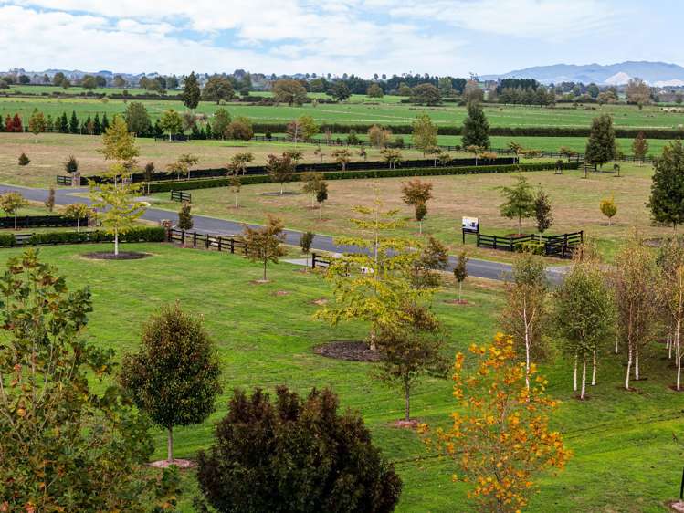 - Highgrove Station Road Matamata_22