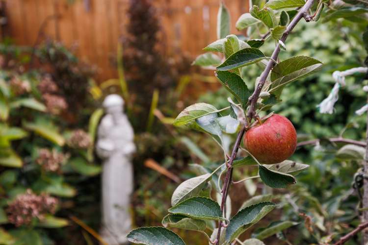 13 Accolade Street Feilding_13