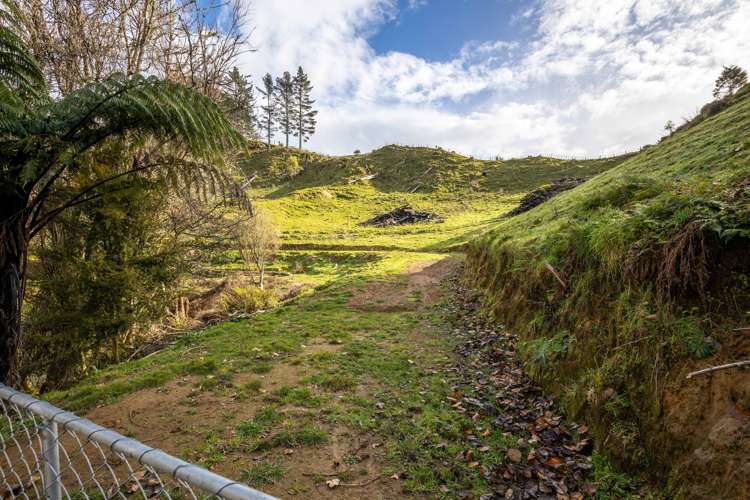 822 Motukawa Road Tarata_21