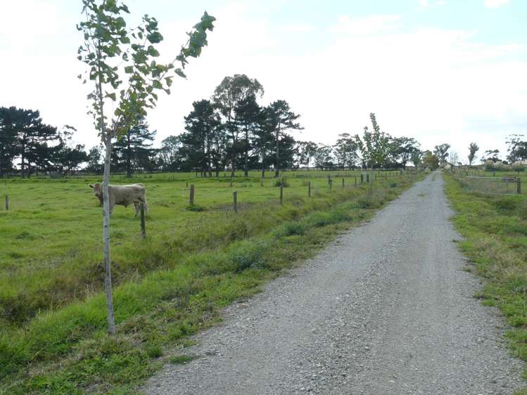 403c Kumi Road Awanui_14