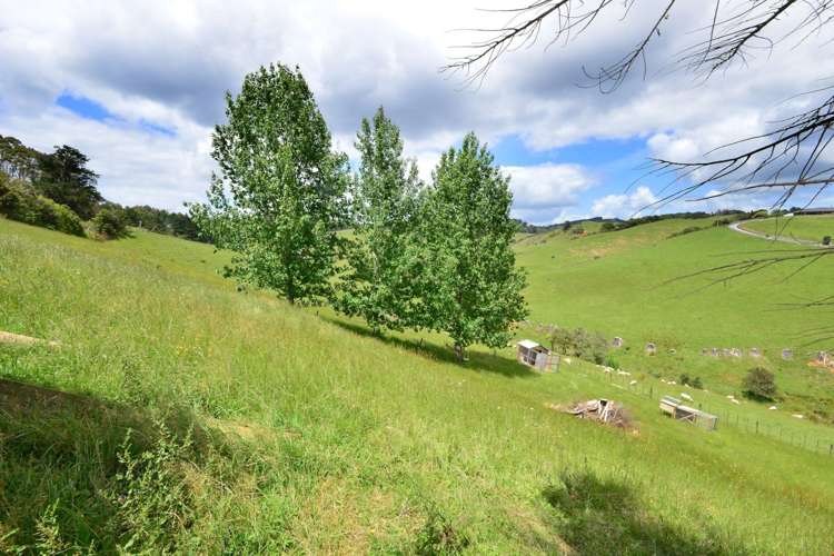 162 Wyllie Road Warkworth_23