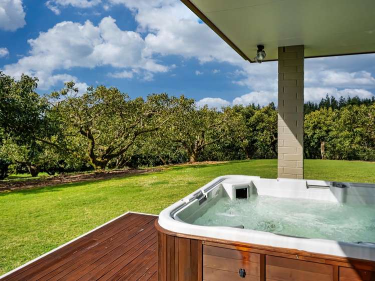 237B Busby Road Katikati_17