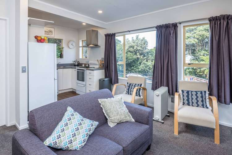36 Rakau Road Hataitai_13