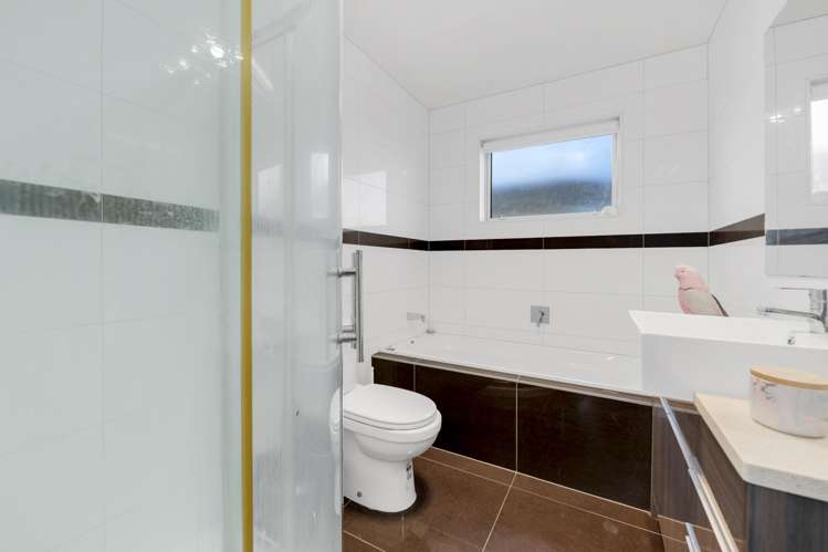 50 Helianthus Avenue Flat Bush_16