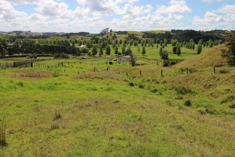 751 Paradise Road Tangiteroria_15