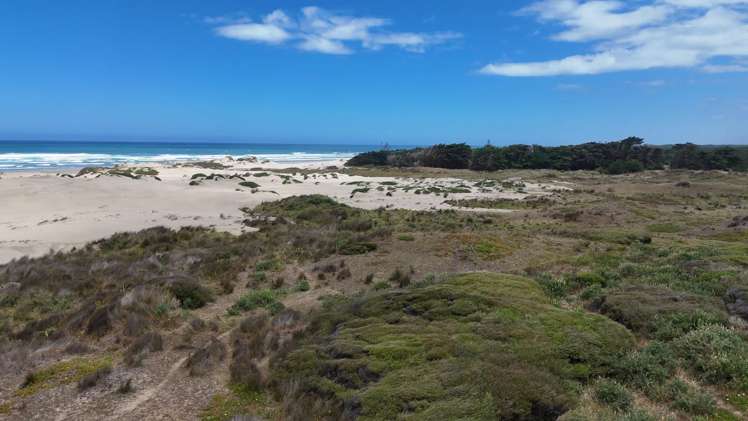 Lots 1-3 Hukatere Road Pukenui_16