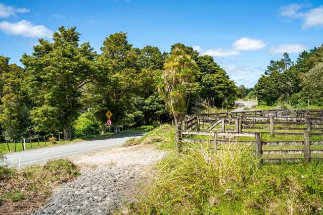 278 Griffin Road Maungaturoto_3