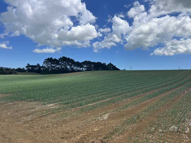 76 Brookside Road Glenbrook_11