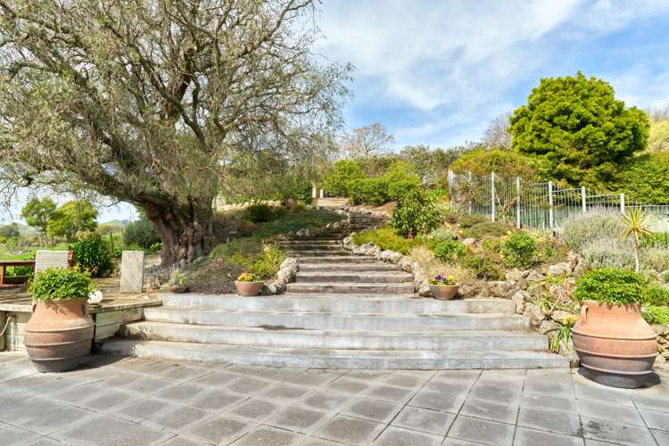 31 Endsleigh Road Havelock North_9