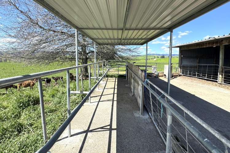 204 Mangatutu Road RD2 Maihiihi_30