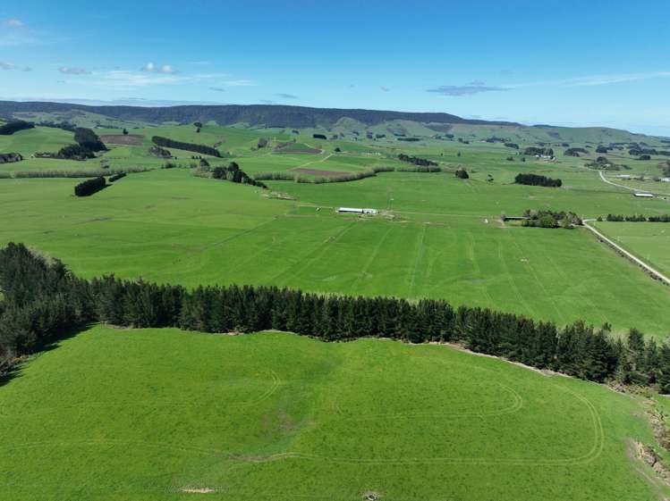 97 Marinui Road Quarry Hills_1