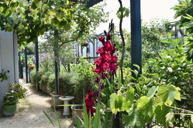 27 Tawa Road_4
