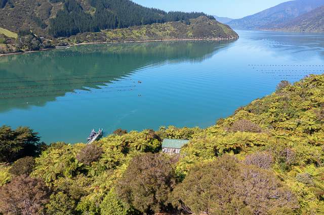 Nikau Bay Kenepuru Sound_3