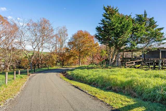 2 Nihotetea Lane Maunu_4