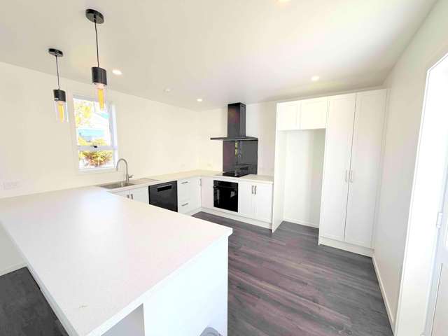 60 Ward Street Waverley_1
