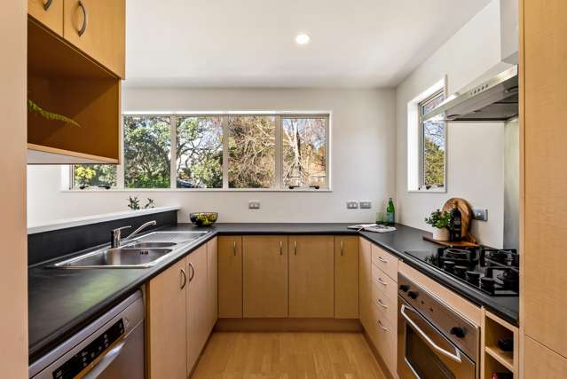 31 Arcus Way Hataitai_4