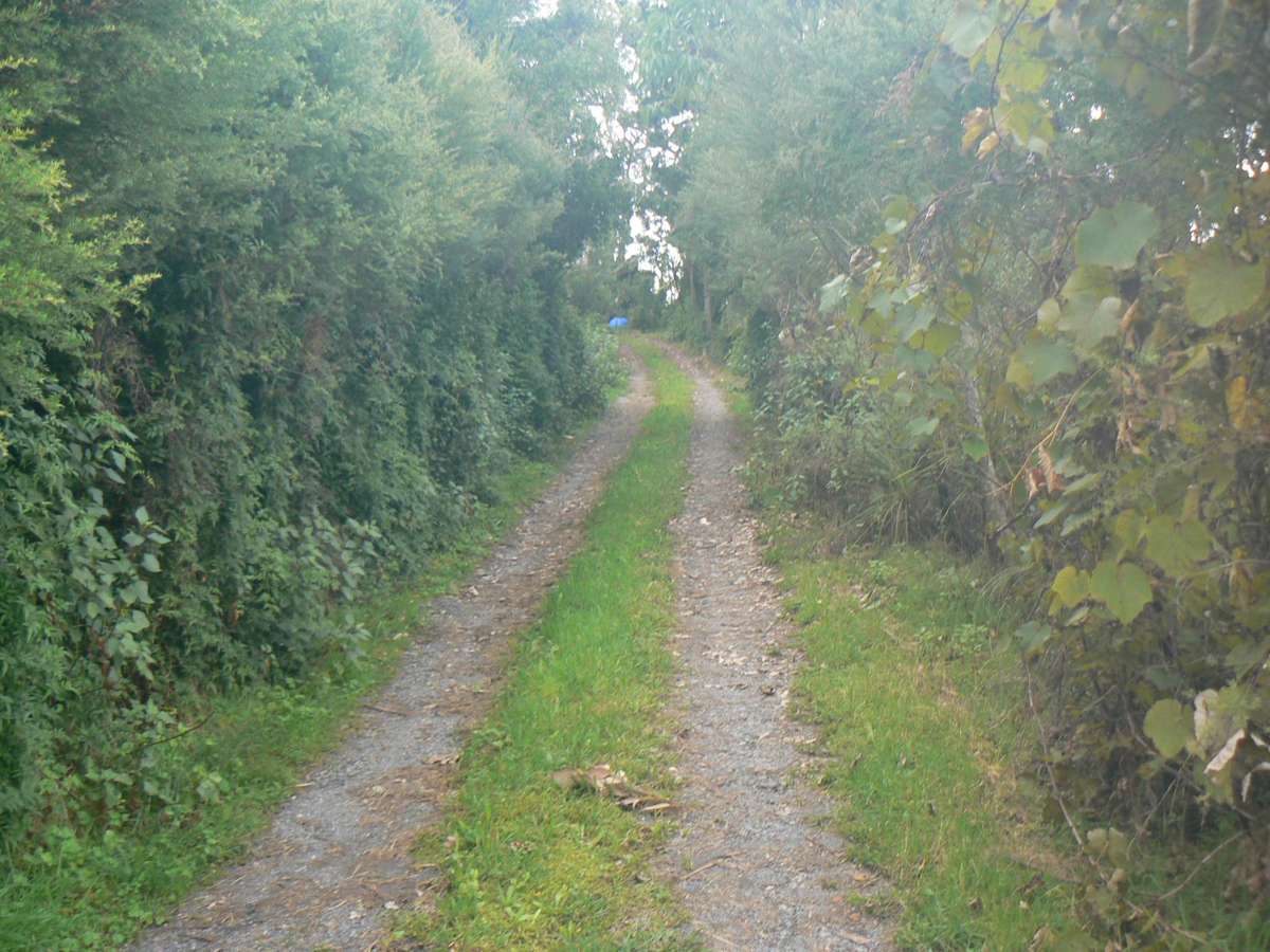 340 Duddy Road_5
