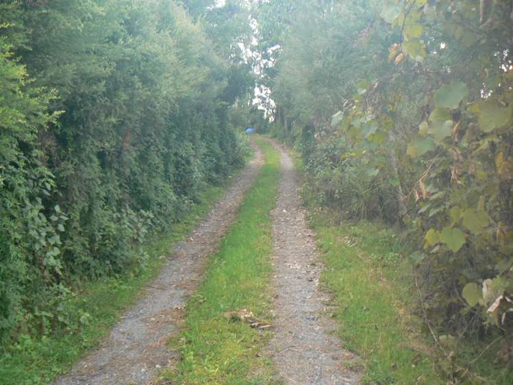 340 Duddy Road Rawene_10