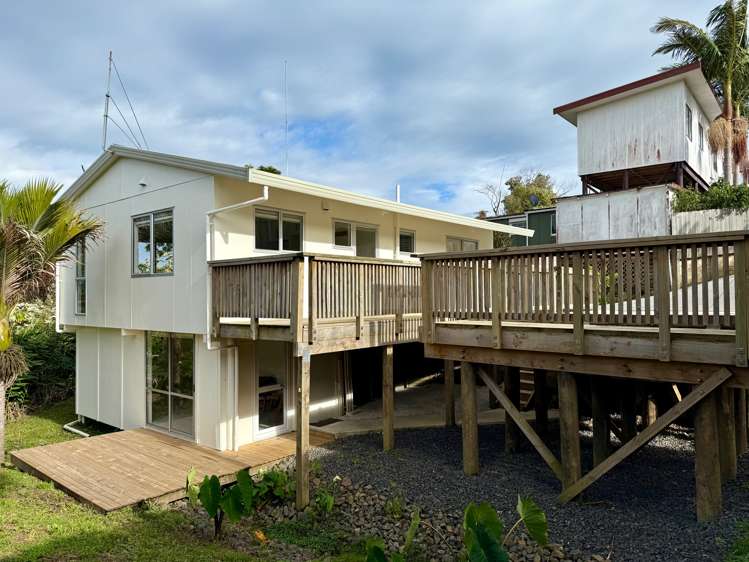 7B Rose Street Raglan_35