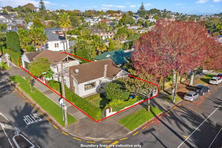 28 Henley Road Mount Eden_17