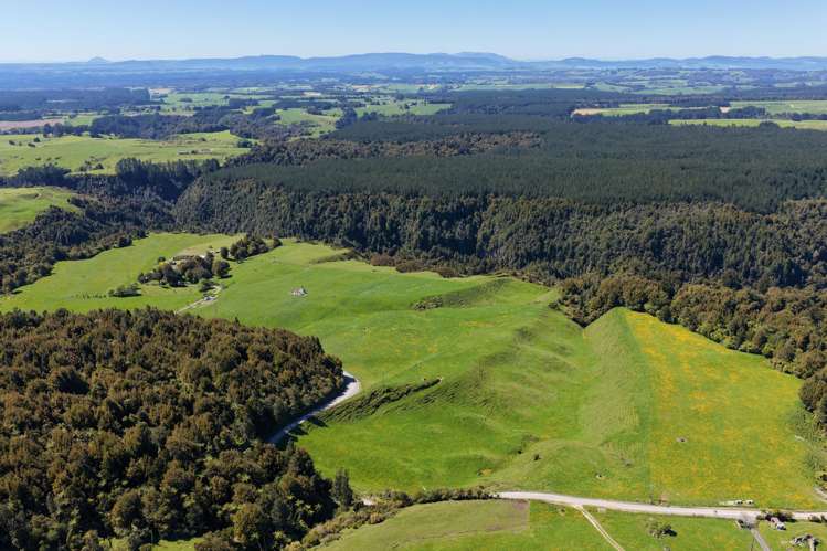 869 and 668 Mangatoi Road Oropi_9