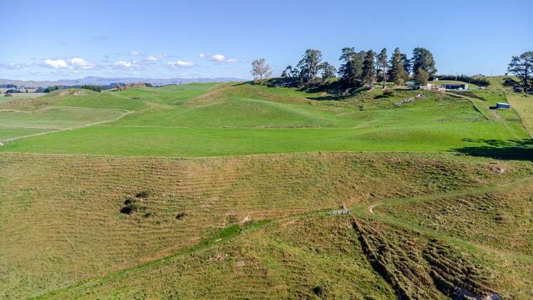 177 Blairgowrie Road Dannevirke_12