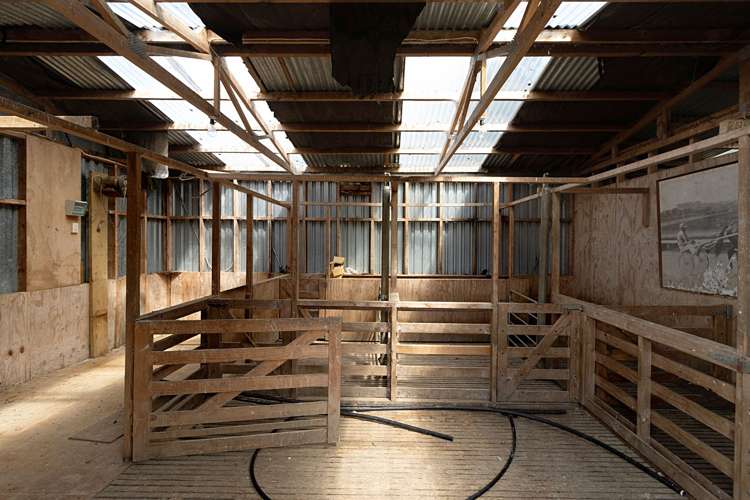 141 Annett Road Kumeu_24