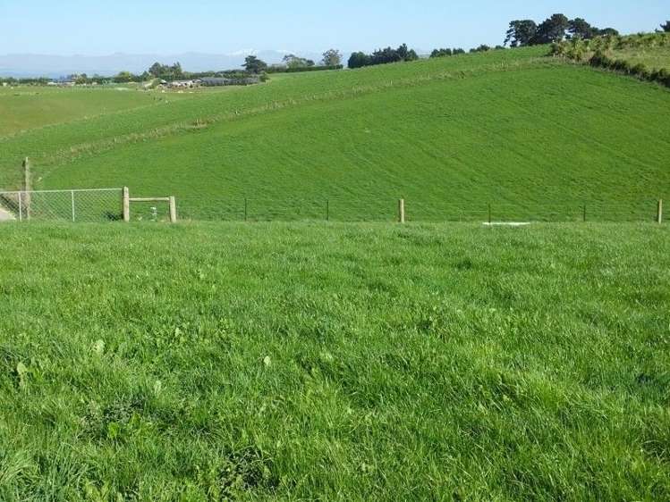 6/102 Beach Road Oamaru_0