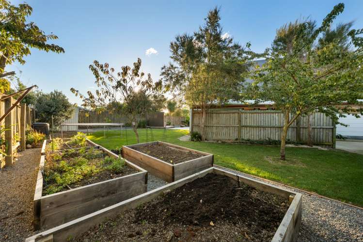 10A Faulkland Drive Witherlea_21