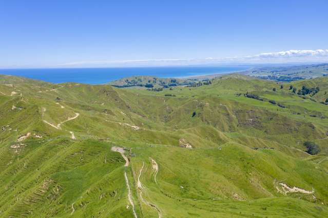 Opoutama Road Mahia_2