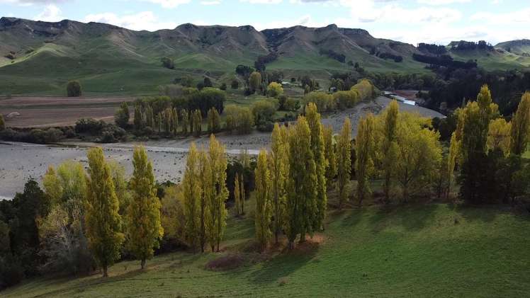 Lot 2/493 Kahuranaki Road Havelock North_7