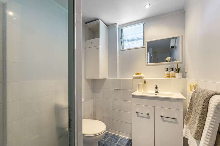 113 Selwyn Avenue Mission Bay_18