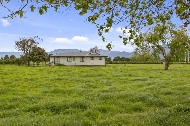 290 Waghorn Road Wardville_6