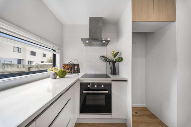 40 Clay Works Lane New Lynn_4