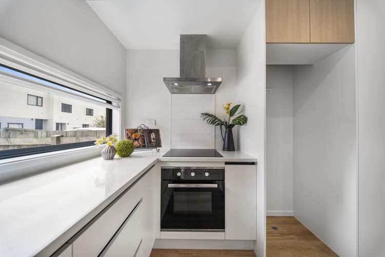 40 Clay Works Lane New Lynn_4