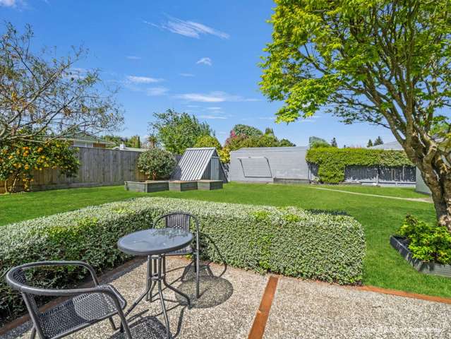 9 Dee Street Levin_3