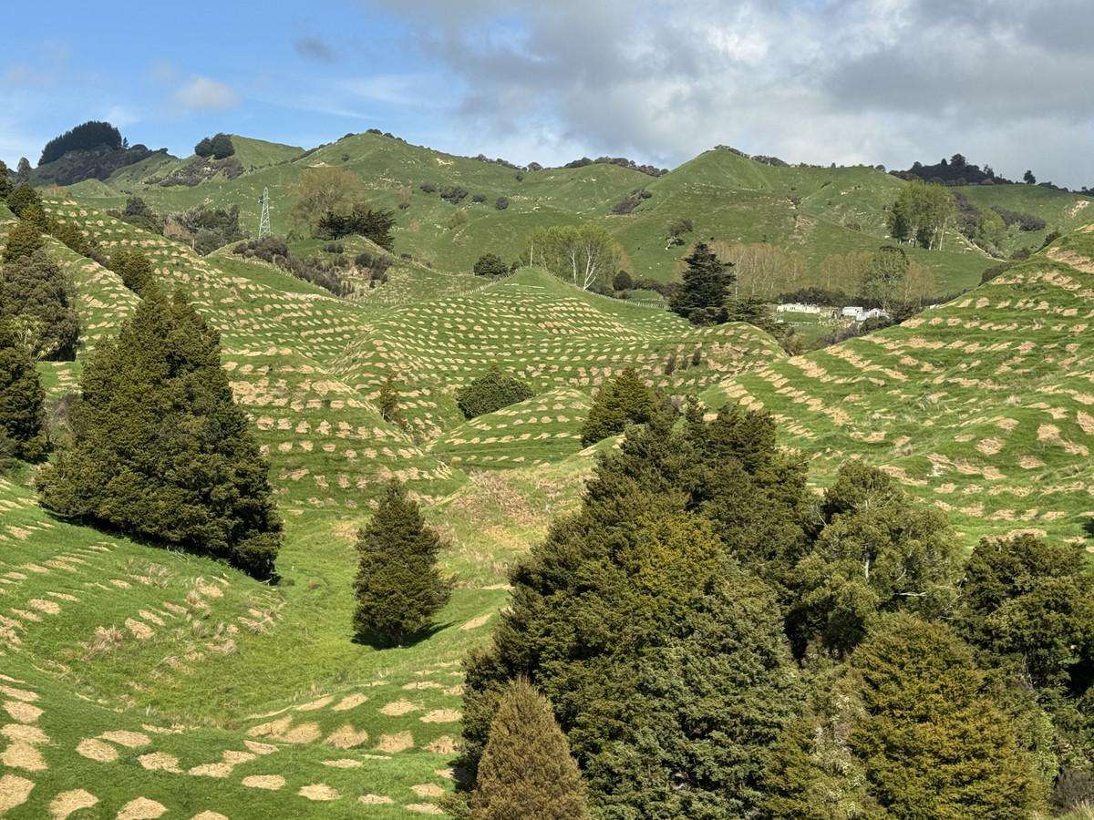 268a Tiriraukawa Road_4