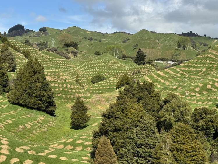 268a Tiriraukawa Road Taihape_8