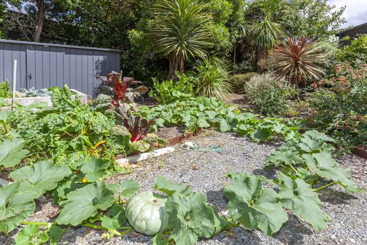 63 Rosetta Road Raumati South_11