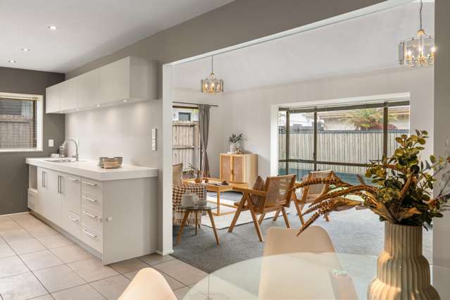 213b Colombo Street Sydenham_3