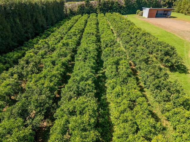 581D Kerikeri Road Kerikeri_1