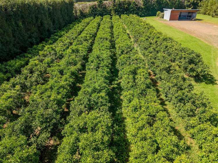 581D Kerikeri Road Kerikeri_1