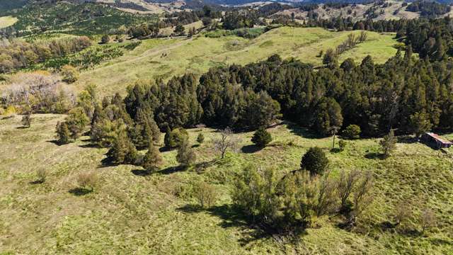 46 Buchanan Road Broadwood_3